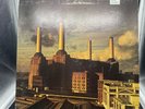 Pink Floyd  