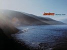 Incubus - Morning View Vinyl 2LP NEU 09544778