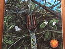 DRAGONFLY Self Titled MEGAPHONE MS-1202 LP Cover with Damaged LP