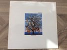 Talk Talk Spirit Of Eden Vinyl 1988 First Press