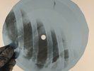 E. FITZGERALD NIGHT WIND  X-Ray USSR Record Roentgen Bones Ribs Music Vinyl