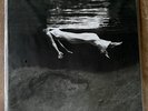 Bill Evans Jim Hall UNDERCURRENT Vinyl LP 180g Mobile Fidelity MFSL MoFi NEW