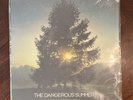 The Dangerous Summer: Reach For The Sun (Vinyl Record, 2016) Rare Blue & White