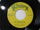 The Royal Jesters Let There Be You / I Really Don't 7