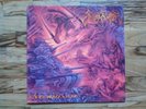 Angelcorpse Exterminate LP 1st press 1998 Morbid Angel Death Cannibal Immolation