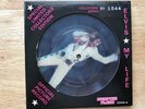 Elvis Presley Collector series 45 rpm 4 picture vinyl No. 1544