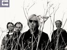 Echo by Tom Petty & Heartbreakers (Record, 2017) NEW STILL SEALED