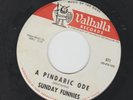 GARAGE SOUL PSYCH 45 - SUNDAY FUNNIES - WATCHA GONNA DO / A PINDARIC ODE - HEAR