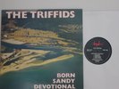 The Triffids ‎– Born Sandy Devotional- LP 1986 UK- Hot Records  ‎– HOTLP 1023