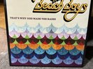 THE BEACH BOYS - That's Why God Made The Radio [lp] - Vinyl - Opened Unplayed