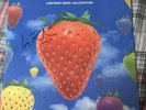 Lightning Seeds - Jollification (Signed Black LP Vinyl)