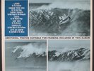 VARIOUS: original surfin' hits GNP 12