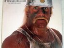 Piledriver The Wrestling Album II 12