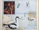 BERT JANSCH AVOCET UK RARE REISSUE CHARISMA VINYL LP CLASS 6  FOLK