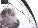 Pearl Jam - Vs
