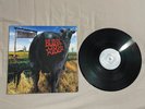 blink-182 Dude Ranch 12