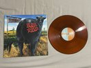 blink-182 Dude Ranch 12