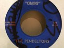 Super Rare Garage Rock 45 – The Pendeltons - Private label - Obscure Texas Orig