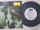 OASIS - Don't Look Back In Anger - 1996 original Belgium Near Mint 7