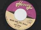 BLUES SOUL R&B ROCKER 45 - EDDIE BURNS - MEAN AND EVIL (baby) - HEAR 1962 HARVEY