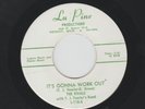 DOOWOP  SOUL R&B 45 - RIVALS - IT'S GONNA WORK OUT - HEAR- 1964 DETROIT  LUPINE