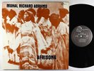 Muhal Richard Abrams - Afrisong LP - India Navigation VG+