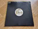 Pet Shop Boys - What Have I Done To Deserve This? /Rent 12'' Vinyl Maxi US PROMO
