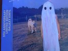 Phoebe Bridgers - Stranger In The Alps 5th Anniversary Galaxy Vinyl LP *IN HAND*