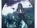 W.A.S.P. - SUNSET & BABYLON * 12 INCH VINYL PIC DISC * 12 CLPD 698 * FREE P&P UK