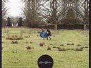 The Luxury Comedy Tapes Loose Tapestries 2-LP  (Double )
