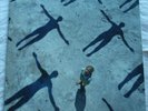 Vinyl / LP:  Muse Absolution (2003) Taste Media