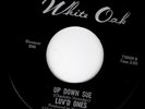 GIRLS IN THE GARAGE 45 - LUV'D ONES - UP DOWN SUE/YEAH I'M FEELIN Florida - HEAR