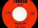 MOODY JANGLE GARAGE 45 - JERRY WAUGH & SKEPTICS - I TOLD HER GOODBYE/FOR MY OWN