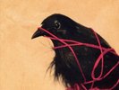 DEATH CAB FOR CUTIE - TRANSATLANTICISM NEW VINYL