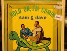 SAM and DAVE 