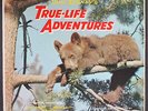 PAUL J. SMITH: true-life adventures DISNEYLAND 12