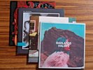 Pop Vinyl Record Lot: Halsey, Oh Wonder, Maroon 5, Mumford and Sons