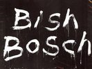 Scott Walker Bish Bosch VINYL, CD 4AD 2012 NEW