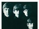 Meet the Beatles  (English) Paperback Book