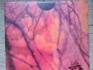 Schoolboy Q – Blank Face LP Orange Marbled Vinyl 2LP Gatefold - near mint