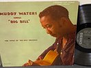 Listen MUDDY WATERS Sings 
