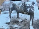 Alice In Chains Self Titled Three Legged Dog 2XLP Yellow Vinyl Play Once