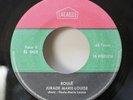 La Perfecta ROULE Rare Afro Latin Psych Break Masterpiece LISTEN