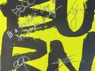 SIGNED THE SNUTS BURN THE EMPIRE SIGNED ON SLEEVE WITH LYRICS CLEAR VINYL