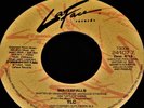Vintage Record, TLC: WATERFALLS RADIO & INSTRUMENTAL, 45 rpm, 1995, Hip-Hop, Pop