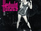 Stephen Trask - Hedwig And The Angry Inch - Original Cast Recording - LP