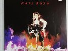Kate Bush Moments of Pleasure Vinyl Record Art Progressive Alternative Rock