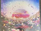 Nujabes Featuring Shing02-Luv(sic) GrandFinale/Part6FromJapan Shipfedex LP