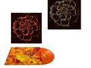 Siouxsie And The Banshees All Souls SIGNED PRINT Limited Edition Orange Vinyl LP