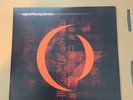 A Perfect Circle ‎- Mer De Noms 2 Vinyl
